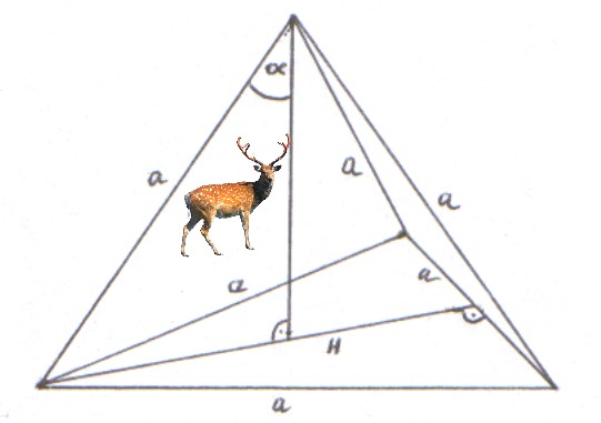 Tetraederskizze